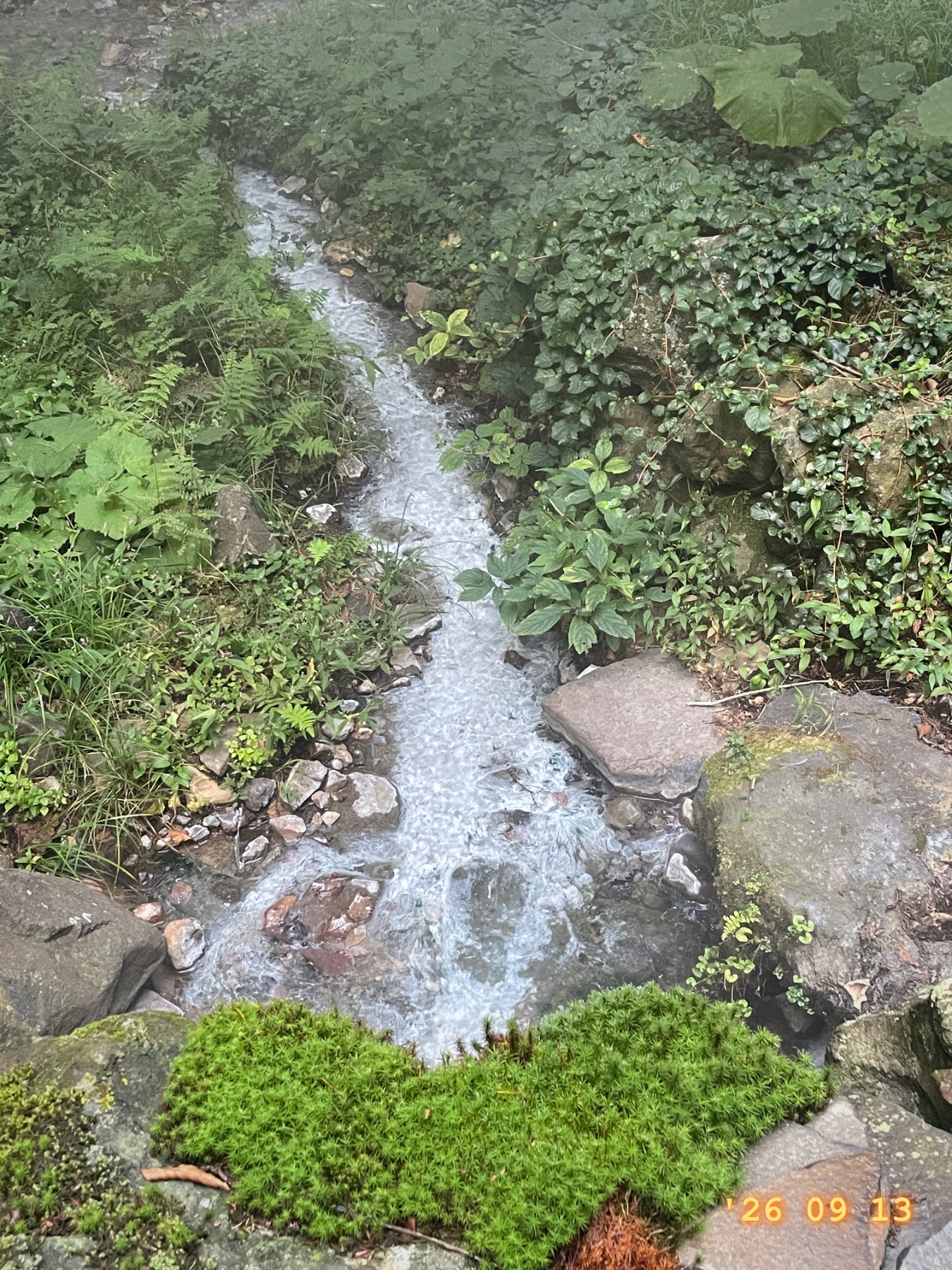 Mit allen Wassern gewaschen